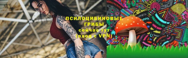 мет Алзамай