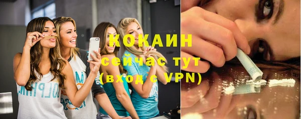 тгк Алексин
