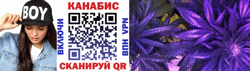 Бошки Шишки VHQ Тетюши